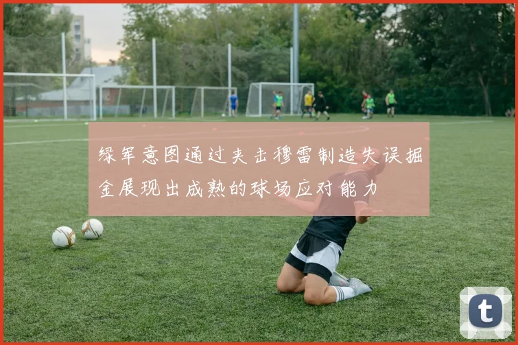 绿军意图通过夹击穆雷制造失误掘金展现出成熟的球场应对能力