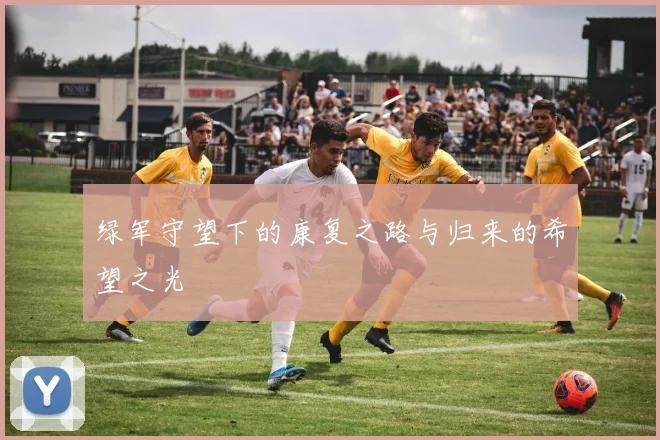绿军守望下的康复之路与归来的希望之光