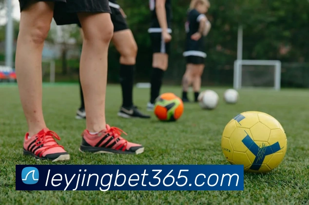 乐竟体育平台生态图